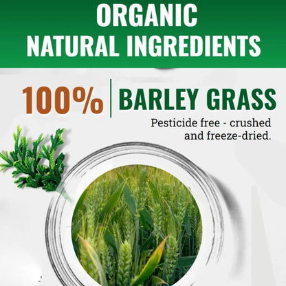 NAVETA™ Barley grass powder 100% Pure & Organic (20 Packs)