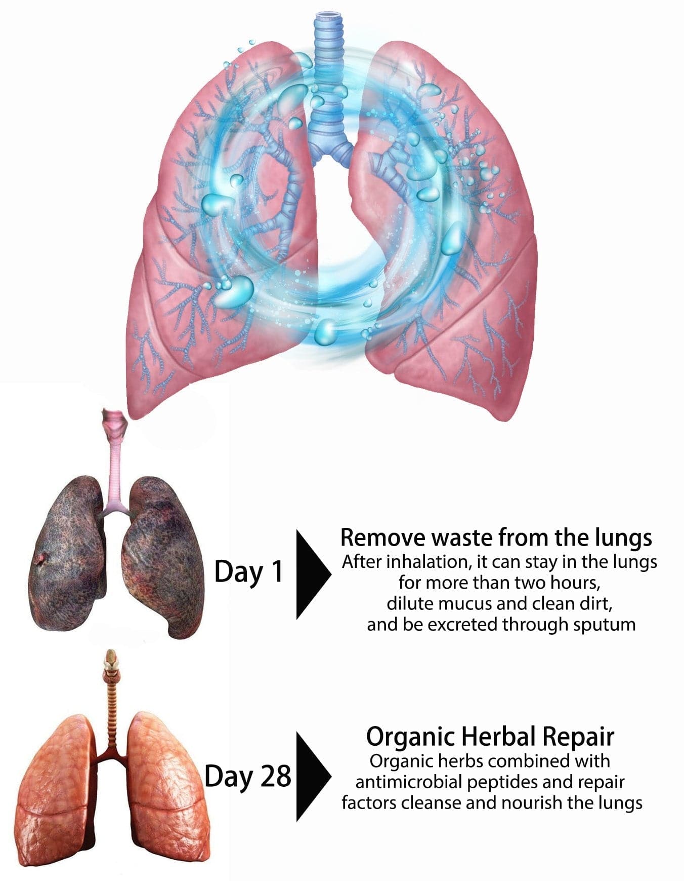 OnNature® Organic Herbs Lung Cleansing&Throat Relief Mouth Spray