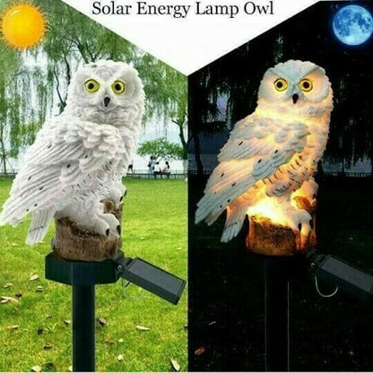 Solar Powered Owl LED Light