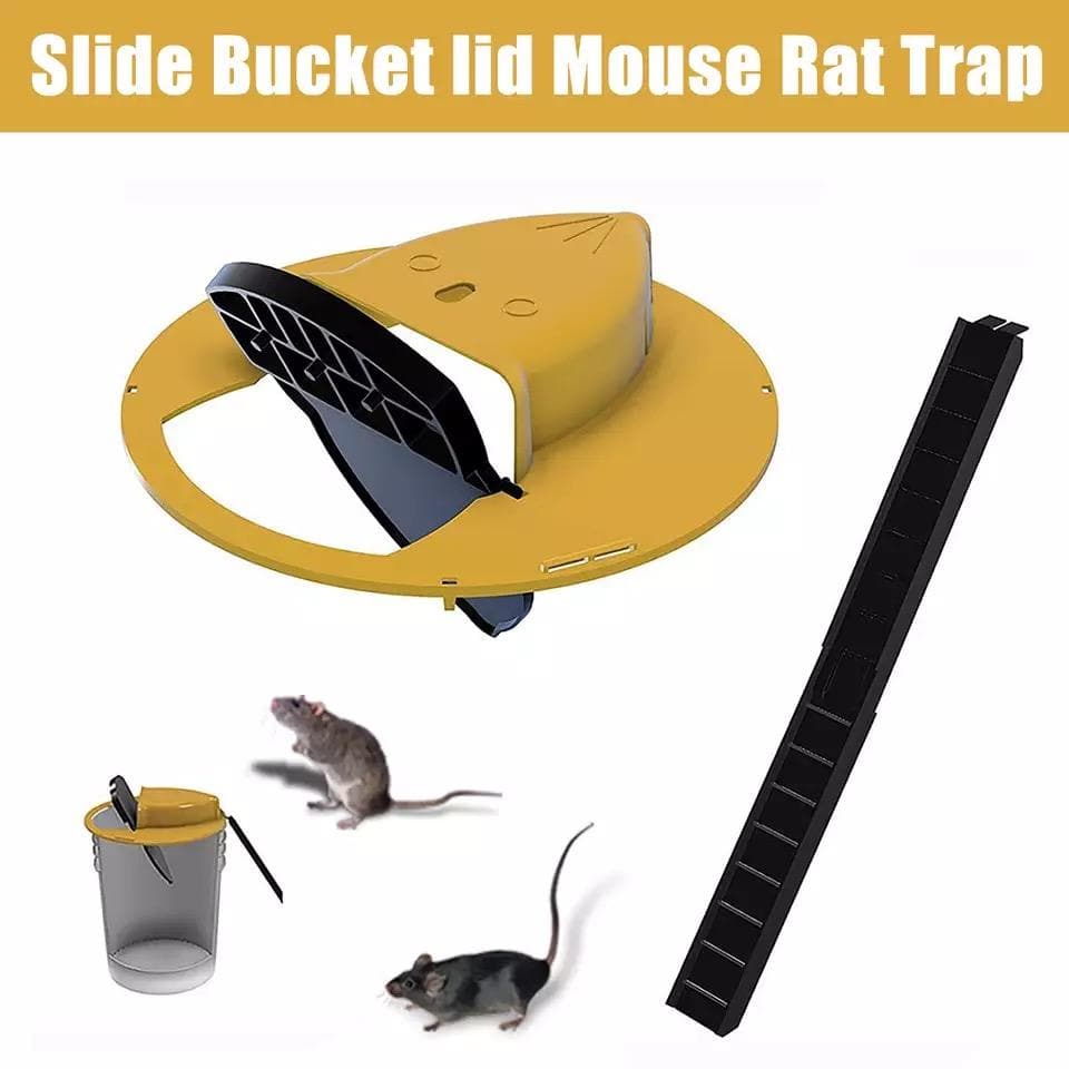 Flip N Slide Bucket Lid Mouse Trap