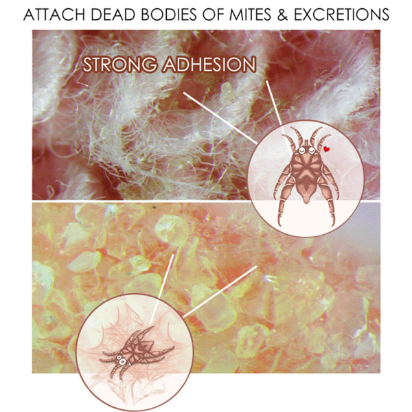 Natural Mite Killer