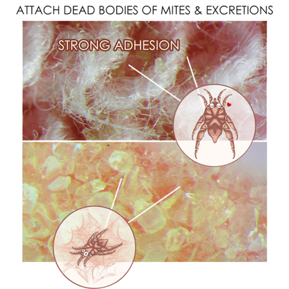 Natural Mite Killer