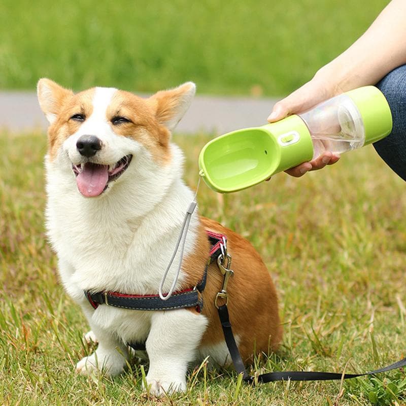 THE BEST PORTABLE WATER BOTTLE