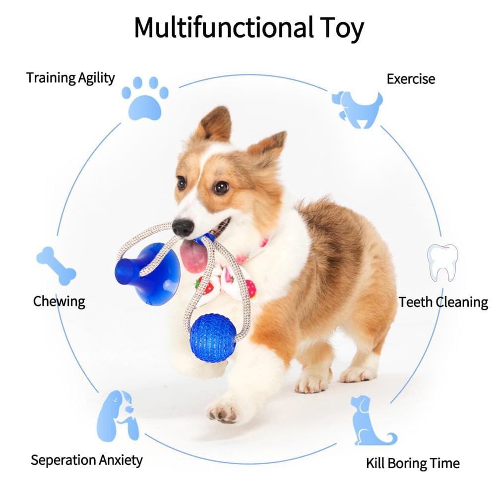 Multifunction Pet Molar Bite Dog Toys Rubber Chew Ball