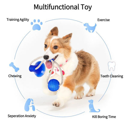 Multifunction Pet Molar Bite Dog Toys Rubber Chew Ball